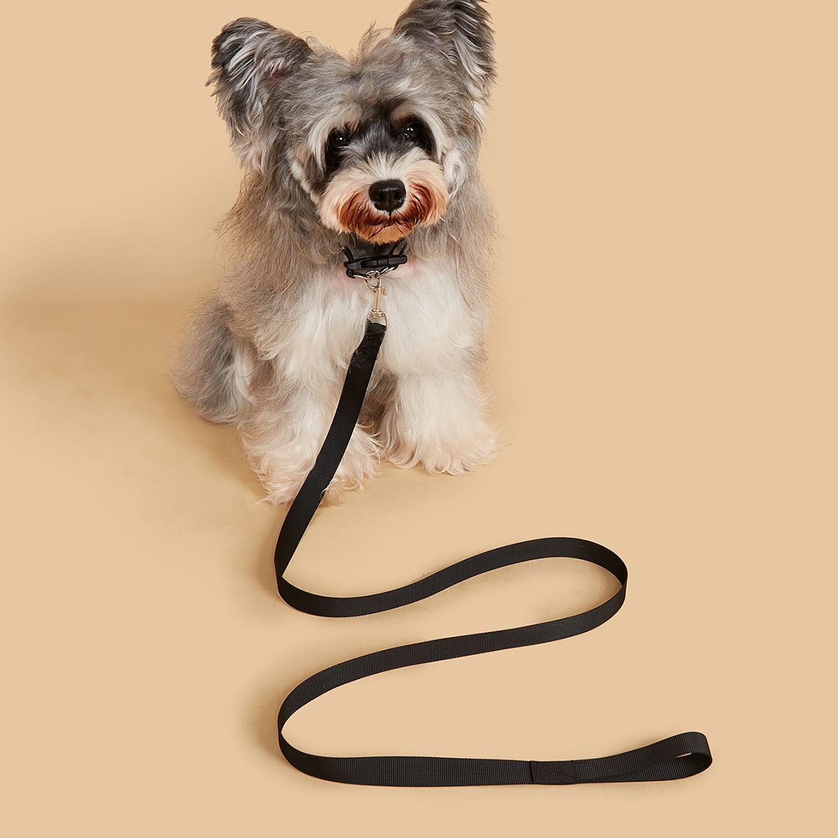 Набор: поводок и ошейник для с – обзор и цена Headcollar Rope Set