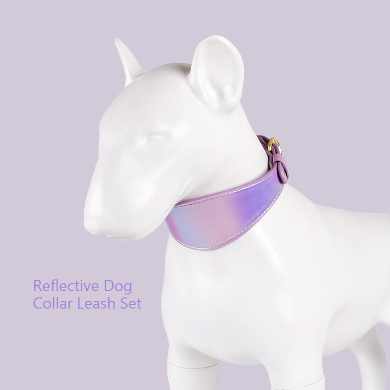 Светоотражающий кожаный ошейни – обзор и цена Headcollar Rope Set