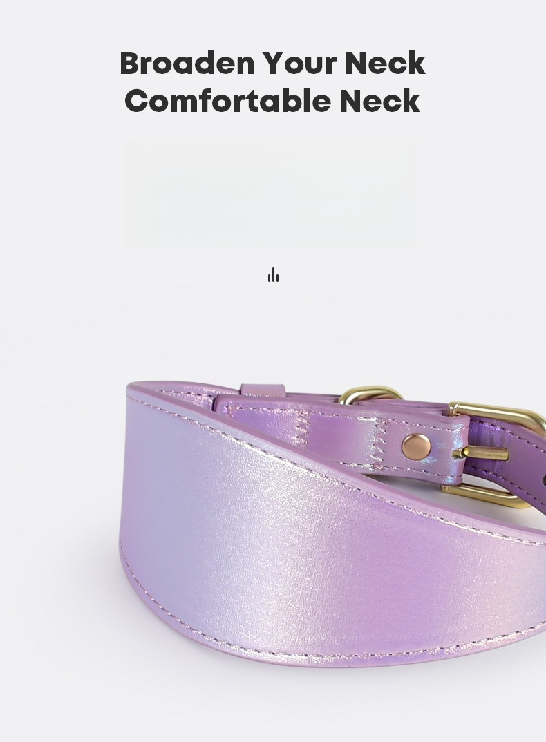 Светоотражающий кожаный ошейни – обзор и цена Headcollar Rope Set